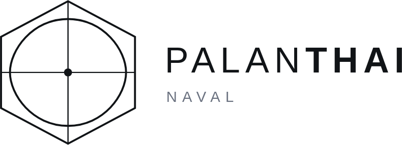 IRRIS / Palanthai logo